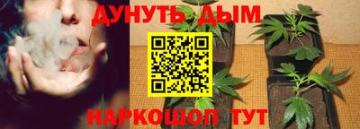 apvp Обь