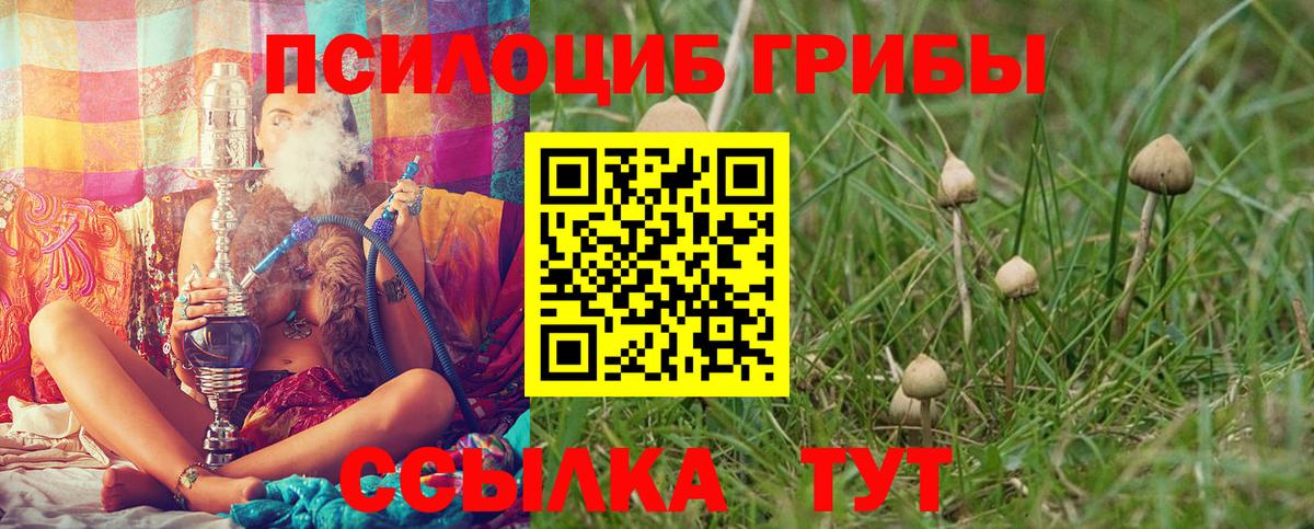 Галлюциногенные грибы мицелий Реутов